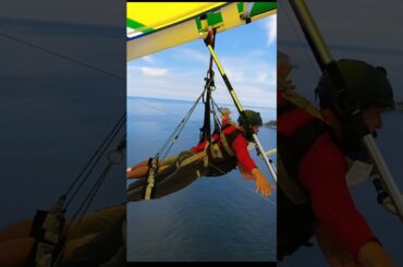 #shorts #music #倉木麻衣 #勇気#always