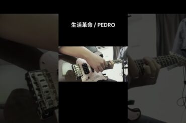 生活革命 / PEDRO (Guitar) #guitar