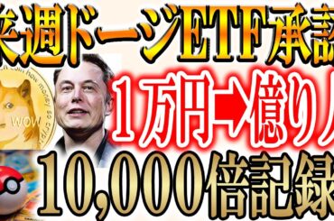 【ETF承認ラッシュ!!】ポケモントークンが1万倍記録！今おすすめのトークンは？【DOGE/ドージ/ビットコイン/リップル/XRP】