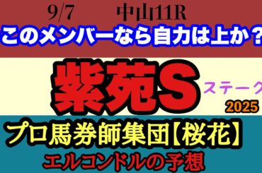 エルコンドル氏の紫苑ステークス2025予想！！桜花賞3着のリンクスティップが出走！小頭数のレースになったとはいえ秋華賞に向けた3つの椅子をかけた闘いは激戦必至！