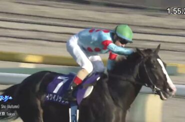 2023年 天皇賞（秋）（GⅠ）  イクイノックス