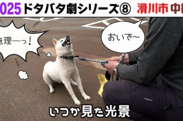 2025狂犬病予防注射会場のドタバタ劇⑧ 滑川市中編