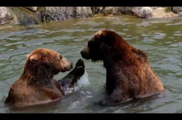 愛しさとせつなさと心強さと/篠原涼子さん♥️ ｗｗｗ～😂いろんな画像になってしまいましたｗｗｗ