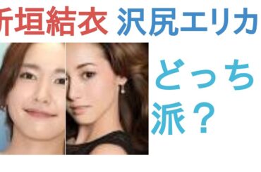 新垣結衣と沢尻エリカはどっちがかわいい？【投票結果】
