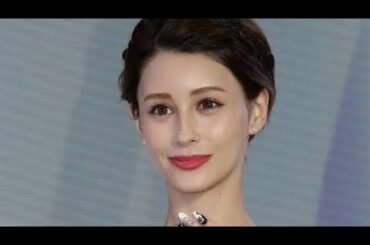 😡🐶🚫 ダレノガレ明美が激怒「本当に一生動物飼うな」「こういう人間は絶対に天国には行かないで」