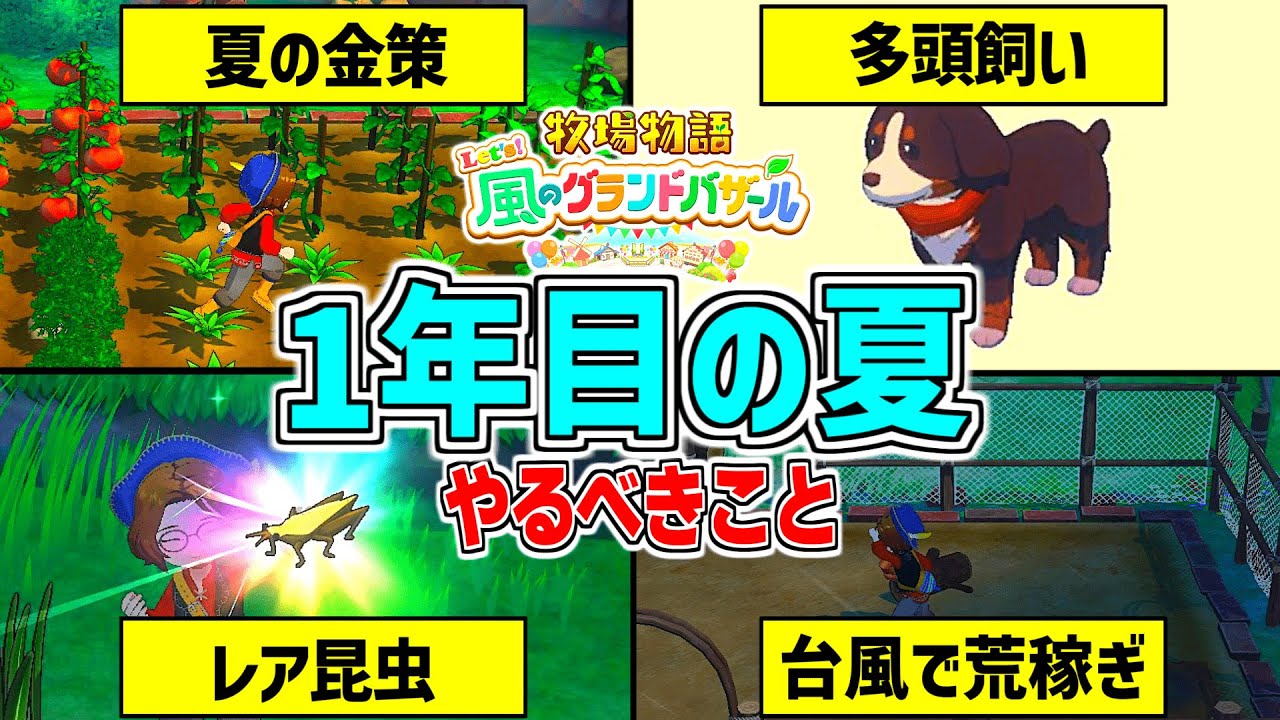 【牧場物語】1年目夏の過ごし方!買うもの・金策方法・昆虫採集・台風の日にすることetc..【 Let’s!風のグランドバザール Nintendo Switch 2】攻略/小ネタ 【牧場物語】1年目夏の過ごし方!買うもの・金策方法・昆虫採集・台風の日にすることetc..【 Let’s!風のグランドバザール Nintendo Switch 2】攻略/小ネタ