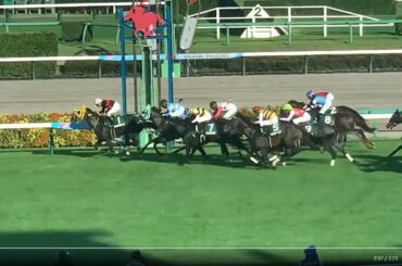 京成杯オータムハンデGⅢ 伏兵ホウオウラスカーズ内鋭伸 2025.09.06