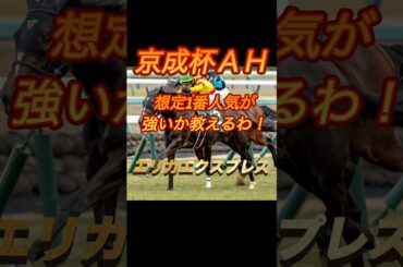 京成杯オータムハンデ　想定1番人気が強いか教えるわ！エリカエクスプレス　見事消し成功結果11着！