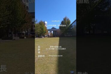 2022 茅野市民館の#秋｜光と影が織りなす芝生散歩｜10月20日ごろ、中庭は、#秋晴れ の空の下で特別な表情を見せます。｜JR中央本線・茅野駅直結｜信州・#長野県　