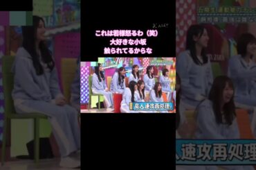 これは若様怒るわ #小坂菜緒  #下田衣珠季  #日向坂 #日向坂で会いましょう