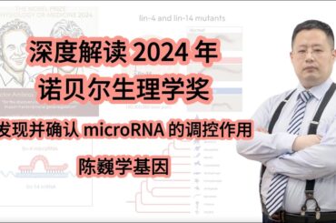 【陈巍学基因】视频 132：深度解读 2024 年诺贝尔生理学奖——发现并确认 microRNA 的调控作用
