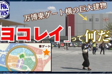 【SNSで話題・ヨコレイパビリオン】謎の建物に潜入してみたら…-20℃＆テニスコート80面分！