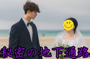 深夜の地下で見つけた、芳根京子と本田響矢の忘れられない秘密」