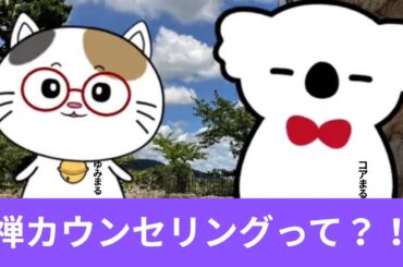 禅カウンセリングのセッションのおすすめ♡