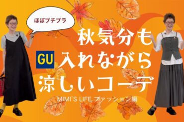 【60代一人暮らし】秋らしさを入れながら残暑を乗り越えよう／買い物マイルール／回復の早いおじいちゃん猫