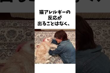 芸能界随一のおしどり夫婦#daigo #北川景子 #芸能人夫婦 #エピソード #ほっこり