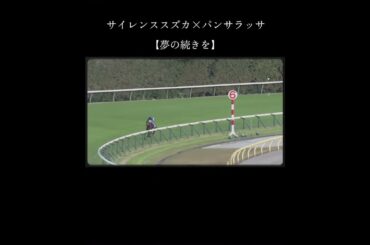 サイレンススズカ×パンサラッサ　【夢の続きを】　　#サイレンススズカ #パンサラッサ #天皇賞秋 #歌詞動画