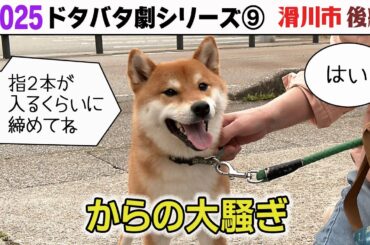 2025狂犬病予防注射会場のドタバタ劇⑨ 滑川市後編
