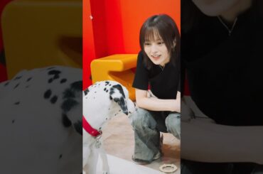 さや姉とワンちゃんの癒しタイム🐶💕 #山本彩 #犬のいる生活 #犬のいる生活 #夏の思い出