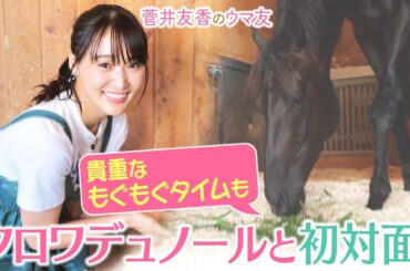 【今週末はいよいよ前哨戦・プランスドランジュ賞！】「日本馬初めての凱旋門賞勝利を…」斉藤崇史調教師と間宮辰徳助手の想いに迫る！クロワデュノールの素顔も必見！＜菅井友香のウマ友になってくれませんか？＞