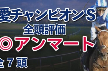 【2025愛チャンピオンS】アンマートがドラクロワ撃破へ！【海外競馬予想｜全頭評価】