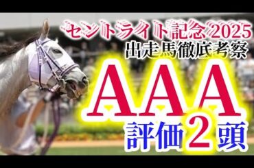 【セントライト記念 2025】皐月賞馬ミュージアムマイル始動！最強の中山巧者を狙え！！注目の出走馬を徹底分析！