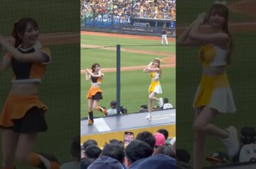 250906 象vs獅 #桃子 #菊池桃子 #中信兄弟 #中信ブラザーズ #passionsisters #パッションシスターズ #cheerleader #台湾チア