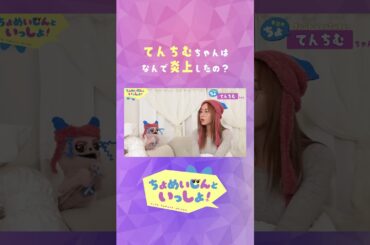 【↑本編↑】てんちむちゃんはなんで炎上したの？【ちょめいじんといっしょ】