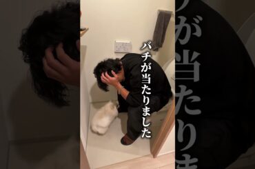 僕はどうすればいいですか？ 妻からの離婚宣言。。 #100円妻課金　#離婚復活劇