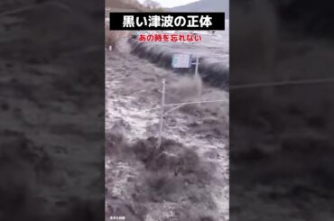 黒い津波の正体とは？ Disaster footage that shocked every Japanese person
