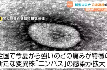 新変異株「ニンバス」影響か 新型コロナ感染者数が3週連続で増加 宮城
