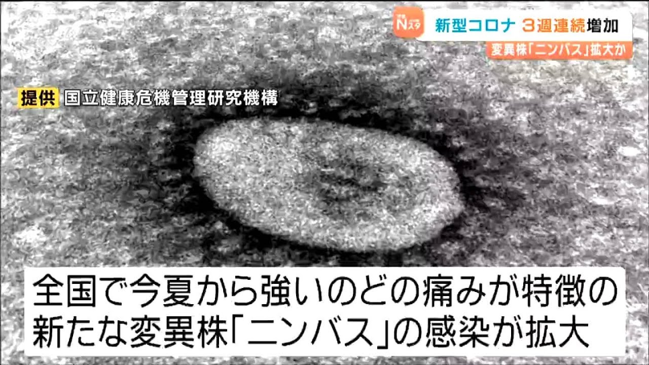 新変異株「ニンバス」影響か 新型コロナ感染者数が3週連続で増加 宮城 新変異株「ニンバス」影響か 新型コロナ感染者数が3週連続で増加 宮城