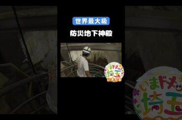 #地下神殿#首都圏外郭放水路#探検#インフラ#世界最大級#龍Q館#防災#埼玉観光#自家焙煎#キオラコーヒー#コーヒー#ラテアート#春日部市#松井咲子#カナイ#才木玲佳#いまたま#埼玉県#shorts