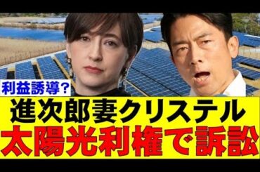 進次郎妻クリステル太陽光利権で訴訟！利益誘導？