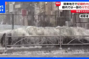 関東で猛烈な雨　東京・神奈川で「記録的短時間大雨情報」都内で川の氾濫も　東京・品川区 立会川流域　大田区 呑川・丸子川流域などに「緊急安全確保」　立川市・落雷で火災か｜TBS NEWS DIG
