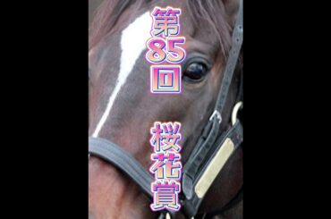 第85回桜花賞 レース結果 #jra