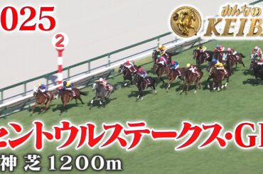 【産経賞セントウルステークス・GⅡ】セントウルS 阪神 芝 1200m 2025 レース  【みんなのKEIBA】