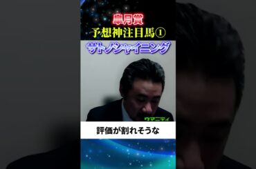 【皐月賞2025】予想神スガダイの注目馬1頭目「サトノシャイニング」#皐月賞2025  #皐月賞  #競馬予想 #サトノシャイニング