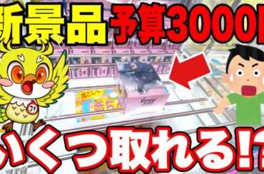 【クレーンゲーム】3000円で最新プライズフィギュアはいくつ取れる!? 橋渡し設定攻略！Claw Machine Challenge