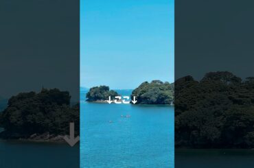 海をぼんやり眺めているとたまに見るシーカヤックツアーが楽しそう