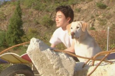 恋愛映画フル2025最新 🔥 ドラマ映画 ✨Japan Romantic Movie 2025 🔥アニマルズ#2789