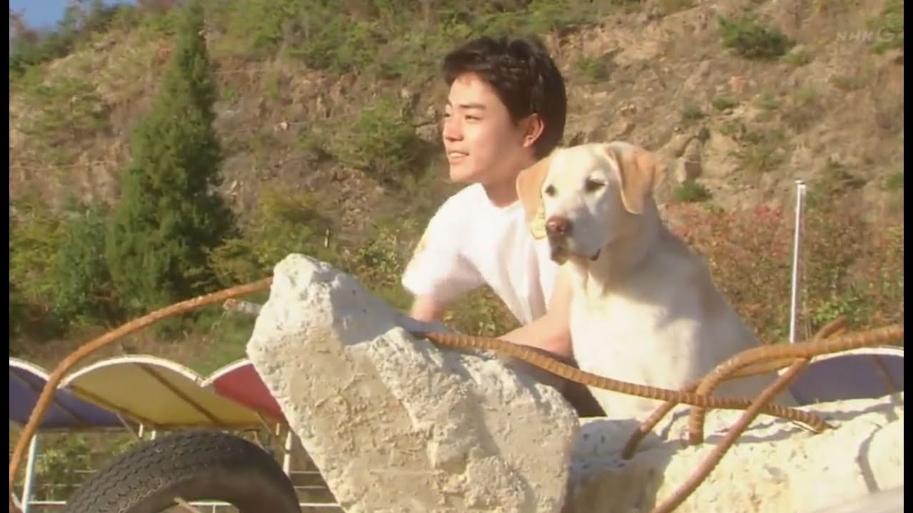 恋愛映画フル2025最新 🔥 ドラマ映画 ✨Japan Romantic Movie 2025 🔥アニマルズ#2789 恋愛映画フル2025最新 🔥 ドラマ映画 ✨Japan Romantic Movie 2025 🔥アニマルズ#2789