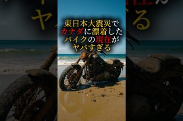 津波でカナダまで流されたバイクの物語　#日本 #海外の反応 #雑学