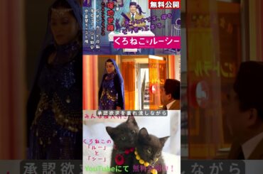『くろねこルーシー』#猫 #やっぱり猫が好き #映画  #無料映画 #塚地武雅 #安めぐみ  #大政絢 #濱田マリ #山本耕史 #京野ことみ #佐戸井けん太 ＃生瀬勝久 #平松愛理
