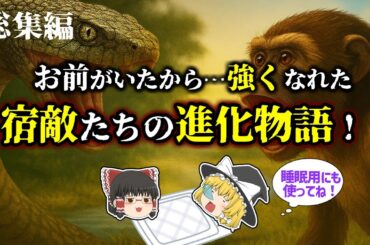 【睡眠用・ゆっくり解説】“宿敵”が進化を加速させた！？驚きの生物進化ドラマ4選！【広告最初のみ　途中広告なし】