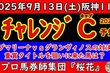 チャレンジカップ2025レース予想！重賞勝ち馬が少ない中で混戦模様！人気のサブマリーナやグランヴィノスは重賞タイトルを狙って出走してきた！野芝の高速馬場で台頭する馬は？