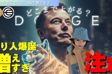【DOGE】どこまで上がる？まだ間に合う銘柄はこれ！知らないと超勿体無い“資産爆増の手順”を大公開