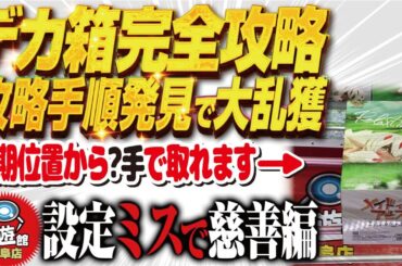 【クレーンゲーム】デカ箱攻略！完全手順化！回遊館岐阜店！