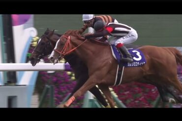 【競馬】大接戦名レース集