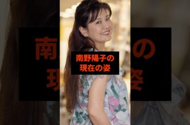 南野陽子の現在の姿#芸能人